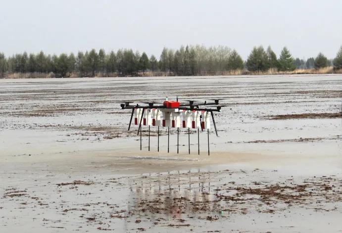 《“十三五”農業農村發展成就斐然，農業機械化與科技服務引領現代農業新篇章》